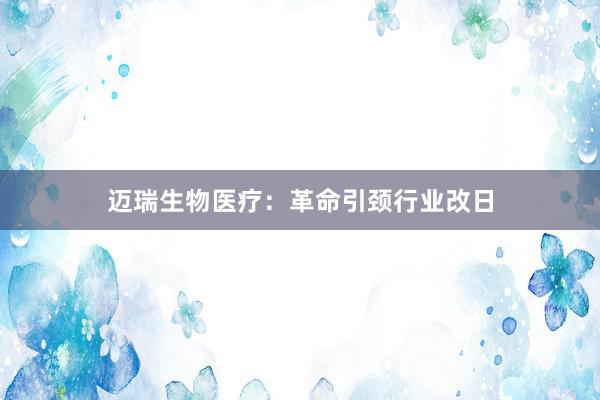 迈瑞生物医疗:革命引颈行业改日