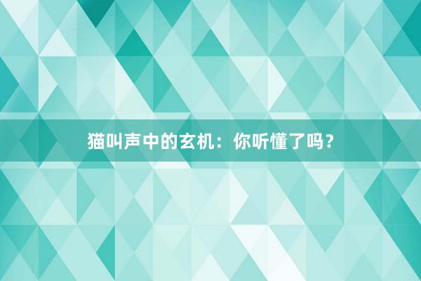 猫叫声中的玄机：你听懂了吗？